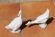 Прекрасная пара фарфоровых гусей . Испания. Середина 20 века