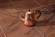 Медный чайничек под самовар с кожаной оплеткой