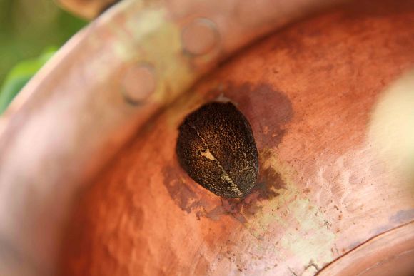 Милый старенький медный двуносик - умывальник