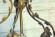 Старинная латунная люстра. Литье. Европа. Начало 20 века