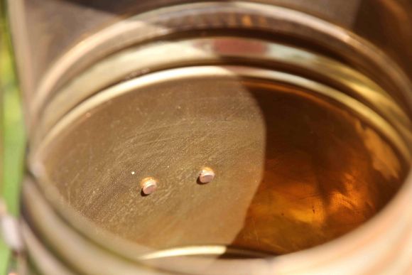 Зольник - Миленький помощник для вашего интерьера