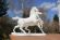 Потрясающая статуэтка лошади . Европа. Начало 20 века