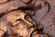 Медный огромный портрет Рубенса. Диаметр 57 см
