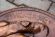 Медный огромный портрет Рубенса. Диаметр 57 см