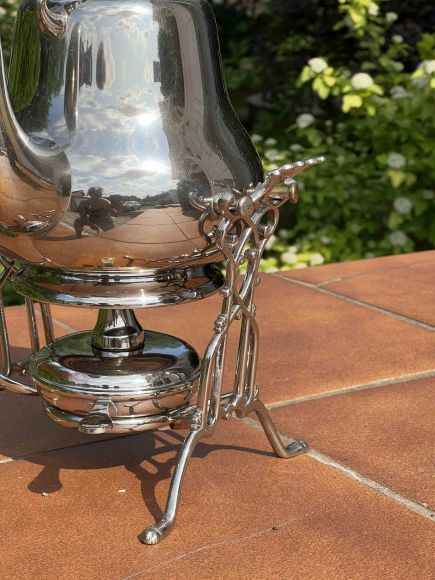 Английская бульотка в идеальном состоянии