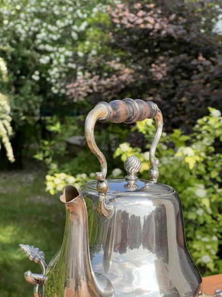 Английская бульотка в идеальном состоянии