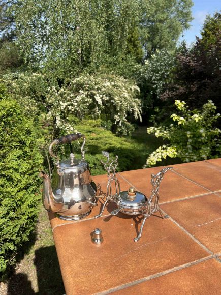 Английская бульотка в идеальном состоянии