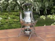 Английская бульотка в идеальном состоянии