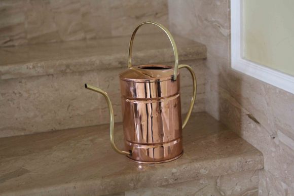 Маленькое винтажное чудо для ваших растений.Европа. Начало 20 века