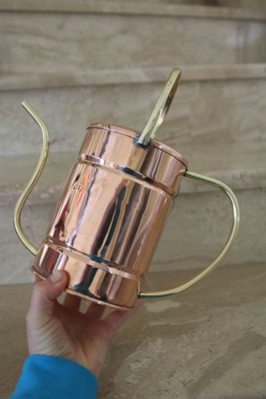 Маленькое винтажное чудо для ваших растений.Европа. Начало 20 века