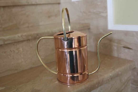 Маленькое винтажное чудо для ваших растений.Европа. Начало 20 века