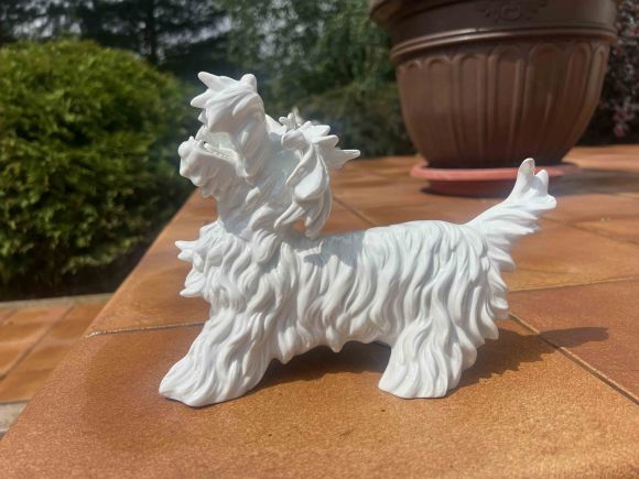 Белый скотч-терьер Unterwrissbach