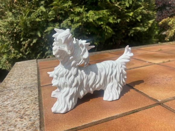 Белый скотч-терьер Unterwrissbach