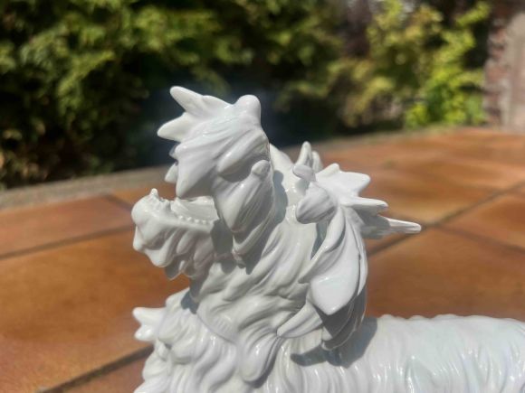 Белый скотч-терьер Unterwrissbach