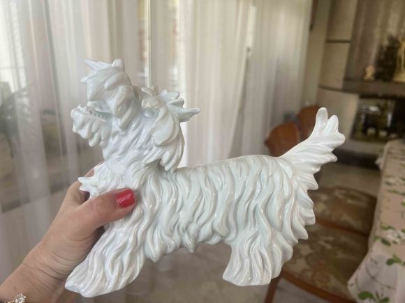 Белый скотч-терьер Unterwrissbach