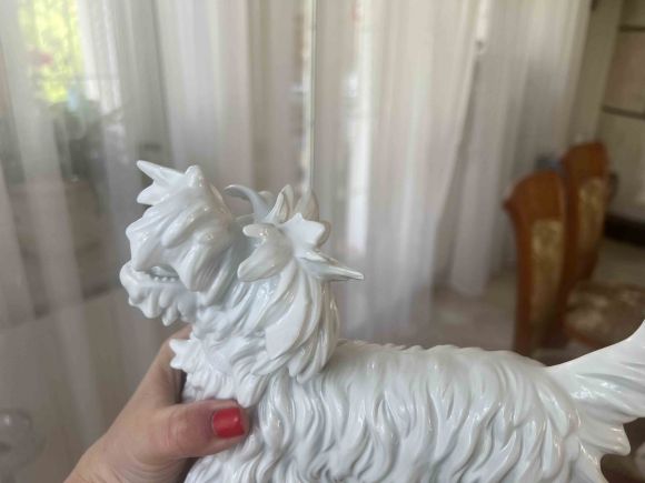 Белый скотч-терьер Unterwrissbach