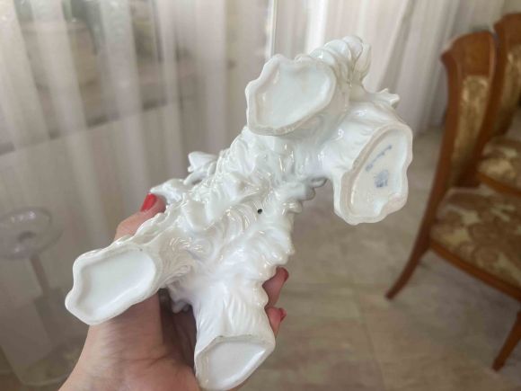 Белый скотч-терьер Unterwrissbach