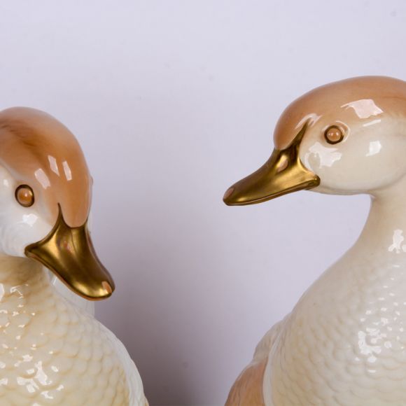  Итальянская пара уток Giovani Ronzan