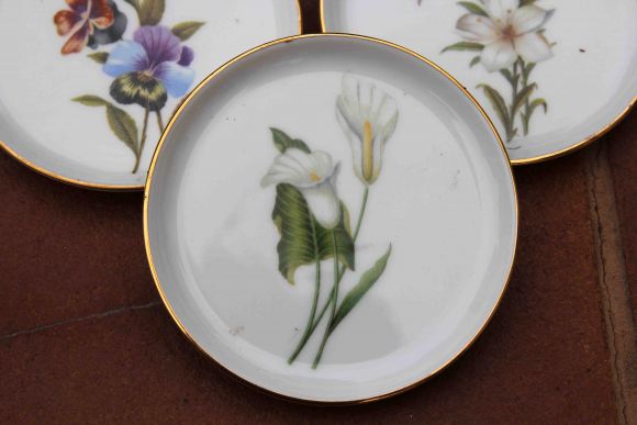 Очаровательный набор винтажных блюдец.Германия. Начало 20 века