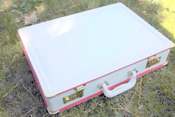 Роскошный набор столовых приборов в кейсе. Европа. Начало 20 века