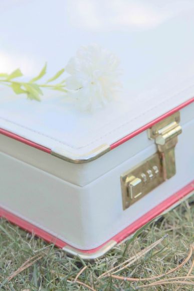 Роскошный набор столовых приборов в кейсе. Европа. Начало 20 века