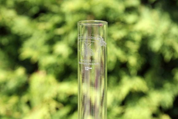 Антикварная керосиновая лампа. Европа. Начало 20 века