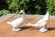 Прекрасная пара фарфоровых гусей . Испания. Середина 20 века