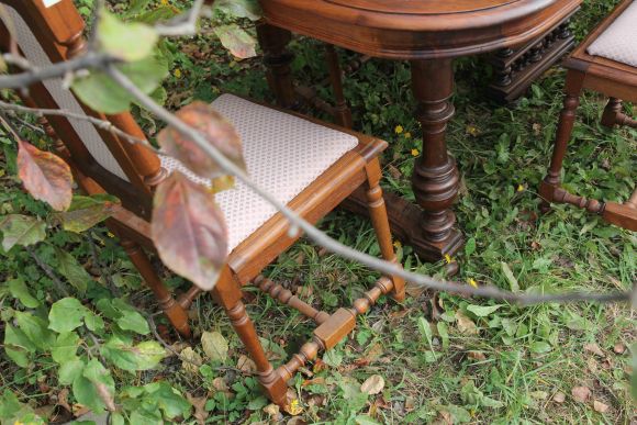 Антикварные дубовые резные стулья в идеальном состоянии