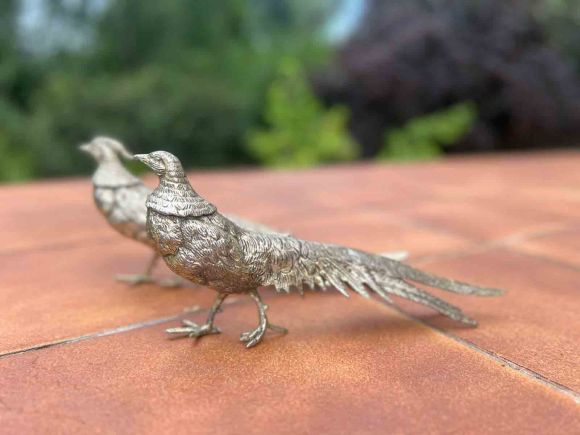 Большая пара посеребренных фазанов