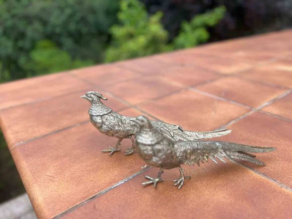 Большая пара посеребренных фазанов