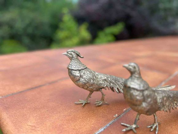 Большая пара посеребренных фазанов