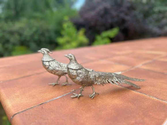 Большая пара посеребренных фазанов