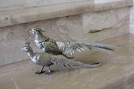 Посеребренная пара королевских фазанов.Европа. Начало 20 века