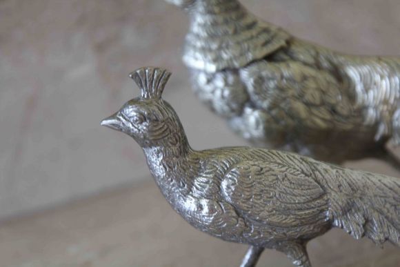 Посеребренная пара королевских фазанов.Европа. Начало 20 века