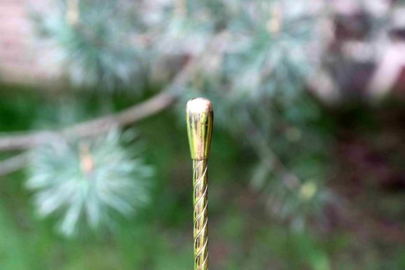 Редкая старинная зонтница. Идеальное состояние. Латунь