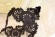 Прекрасная ажурная подставка из Каслинского литья. Россия, начало 20 века