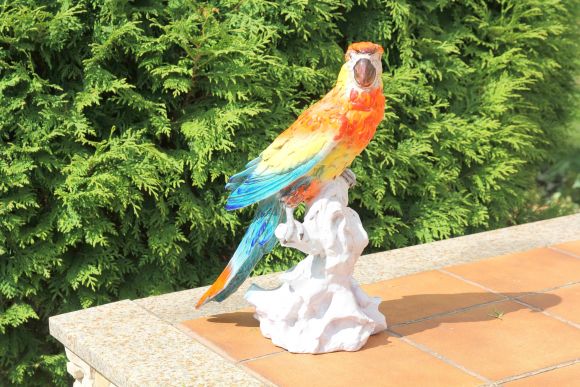 Антикварная статуэтка. Очень красивый и яркий попугай. Италия. Начало 20 века.