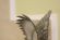 Фарфоровый орел Herend