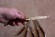 Великолепные антикварные  кухонные ножи. Италия. Начало 20 века