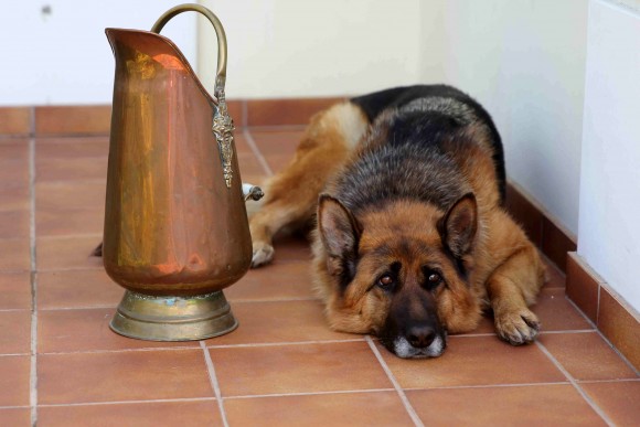 Большой медный зольник или зонтница для прихожей. Европа