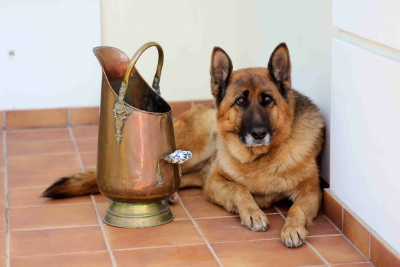 Большой медный зольник или зонтница для прихожей. Европа
