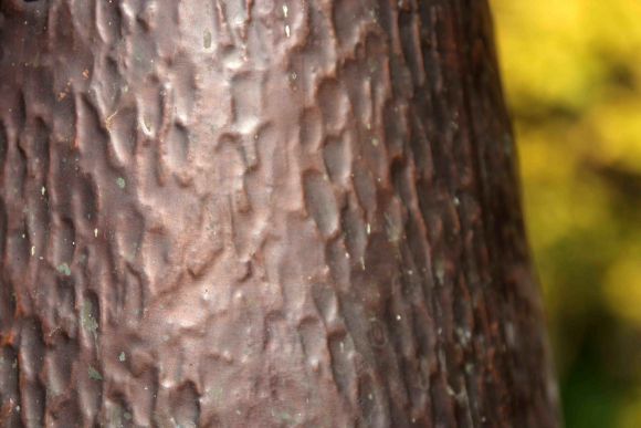 Замечательный зольник. Сюжет "Любимая бабушка". Медь